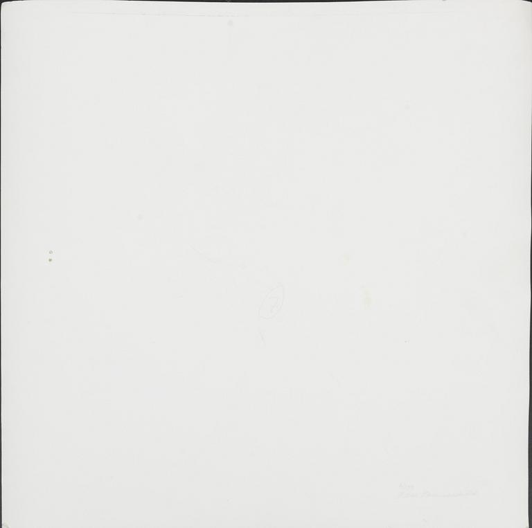 Hans Hammarskiöld, "The Royal Palace, 1976".