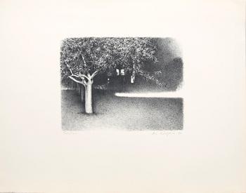 Ola Billgren, lithograph signed and dated 77.
