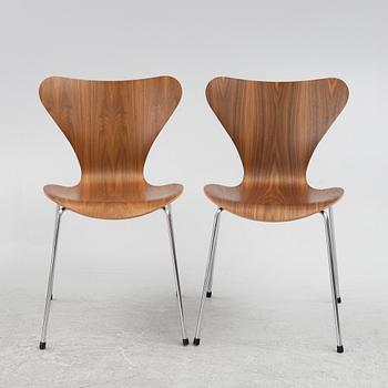 Arne Jacobsen, stolar, 6 st, "Sjuan", Fritz Hansen, Danmark,.