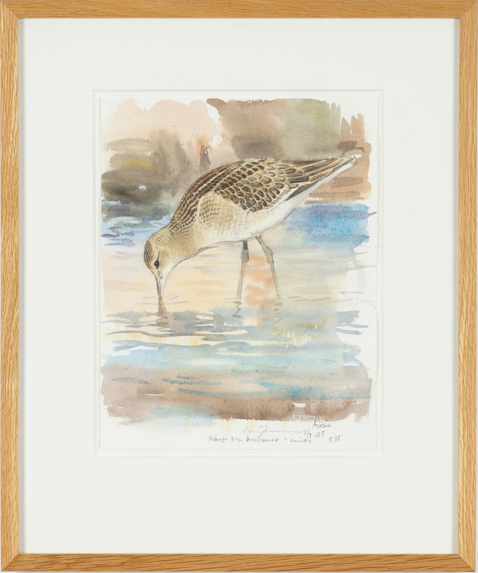 Lars Jonsson, "Brushane".