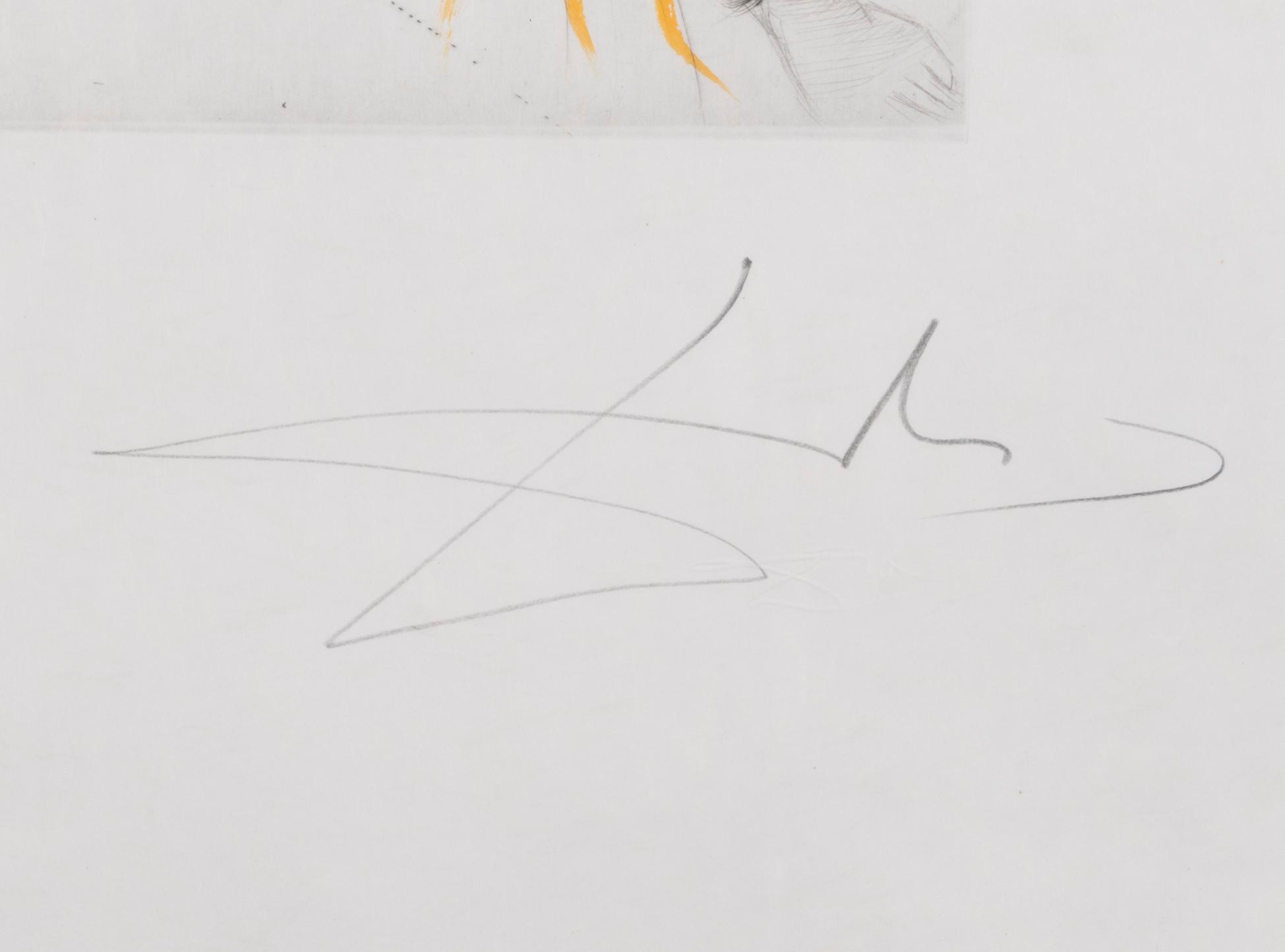 SALVADOR DALÍ, etsning, signerad och numrerad XXIX/C.