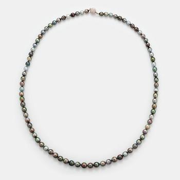 465. A Tahitian cultured pearl necklace.