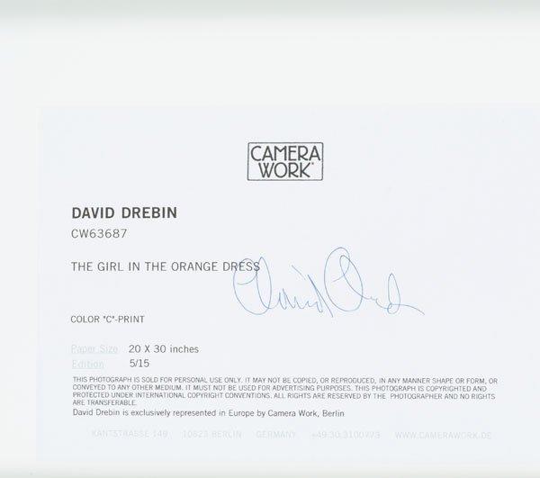 David Drebin, "Girl in the Orange Dress", 2009.