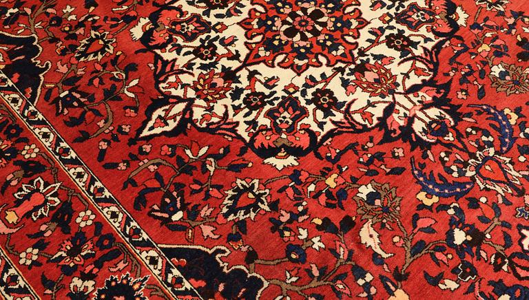 Matta, Baktiari, 326 x 228 cm.
