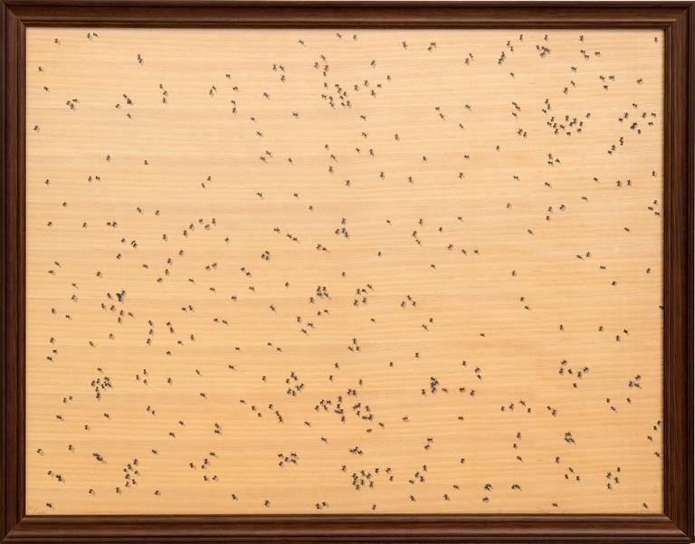 Ed Ruscha, "Black ants" from the series "Insects".