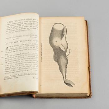 BRITISH ZOOLOGY, vol III, Thomas Pennant, London 1769.