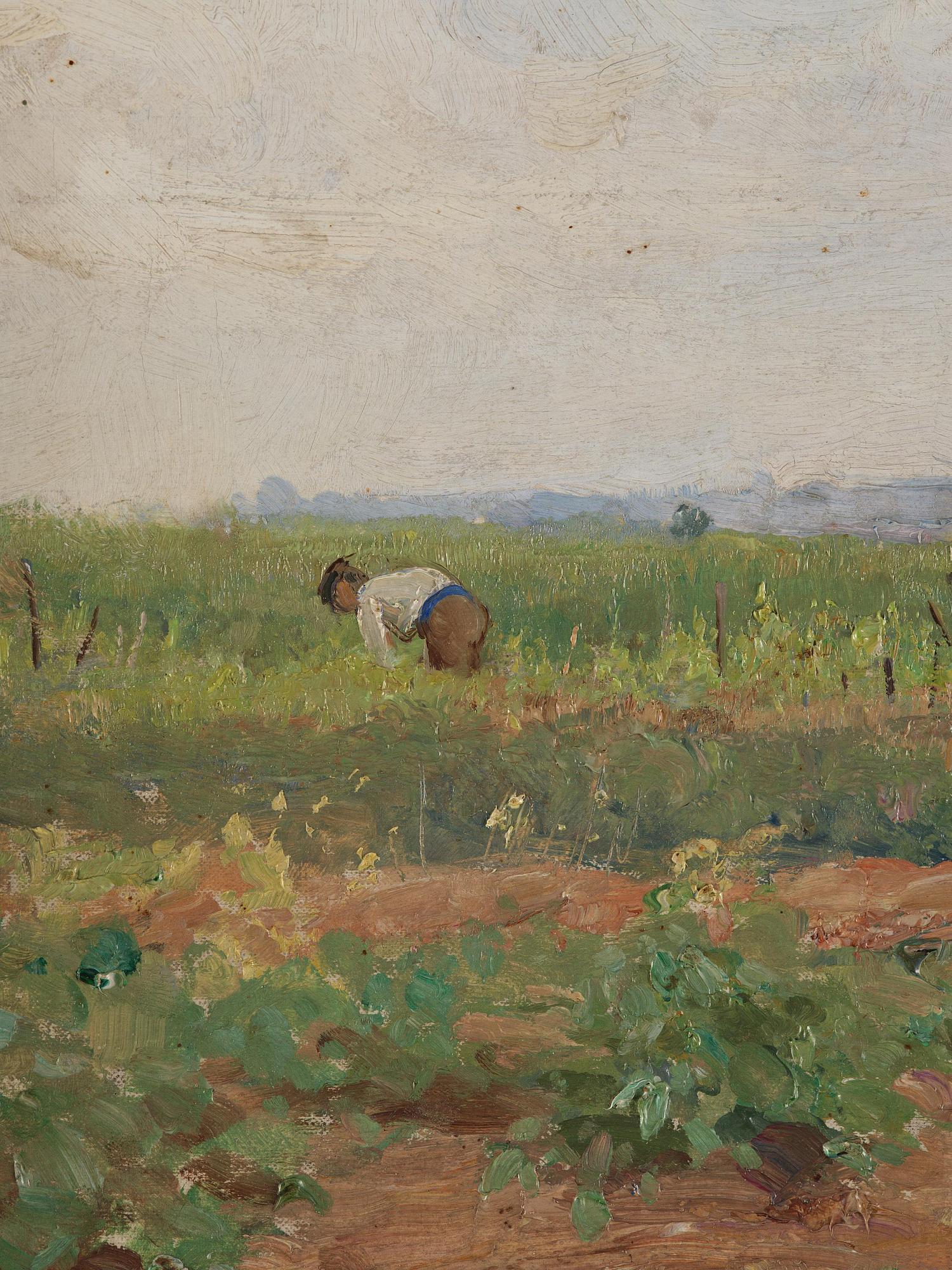 Carl Trägårdh, In the vegetable garden, Grèz.