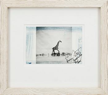 PETER BEARD, kolorerat fotografi, handmålat med signatur och dedikation, dat. 2003. Upplaga om 6 st.