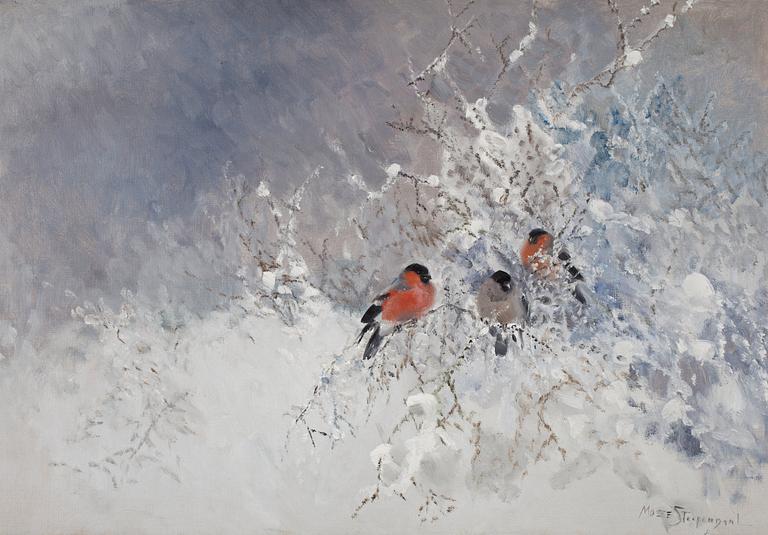 Mosse Stoopendaal, "Domherrar" (Bullfinches).
