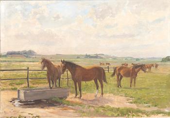 Axel Kleimer, Grazing Horses.