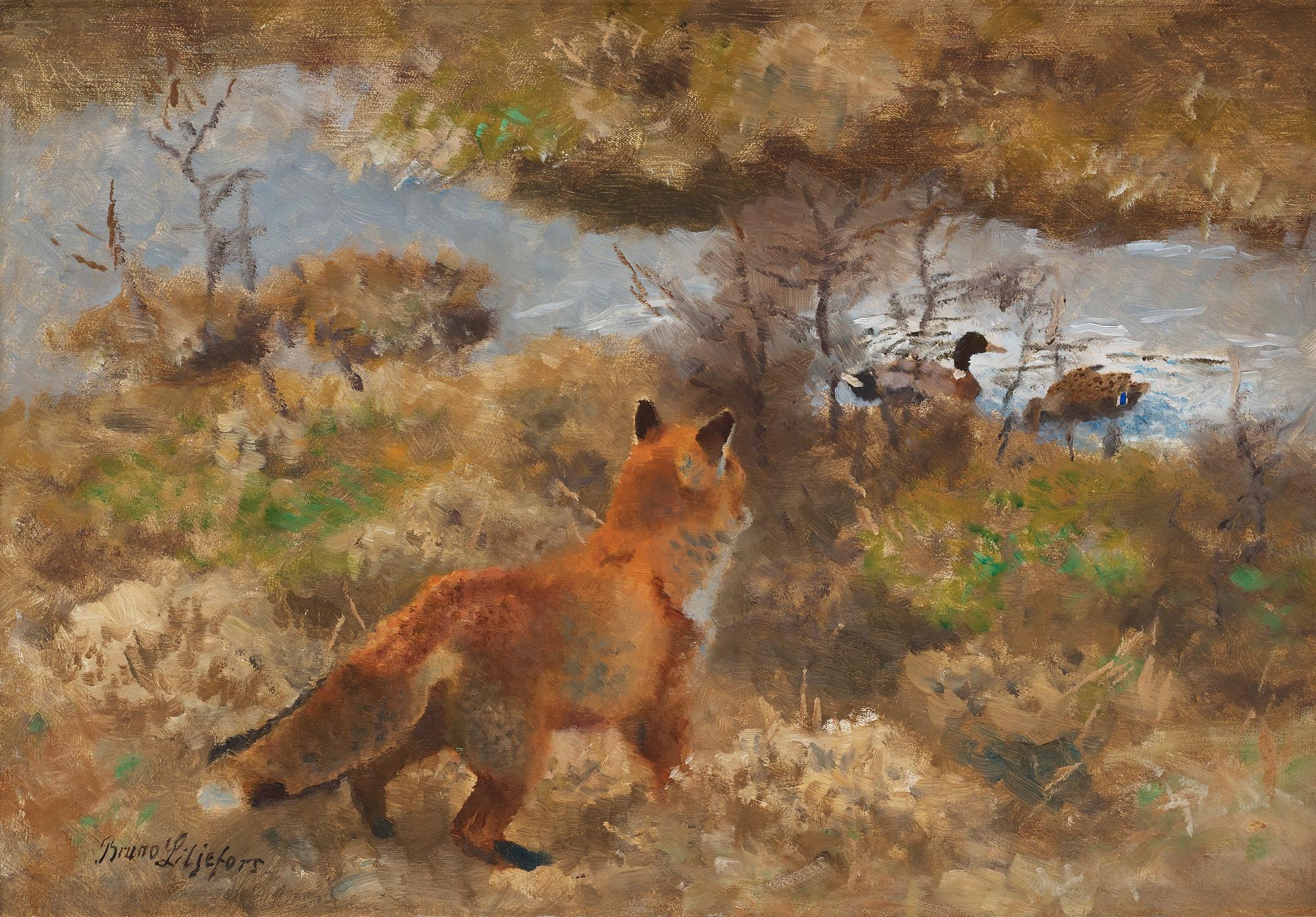 Bruno Liljefors, Räv på andjakt.