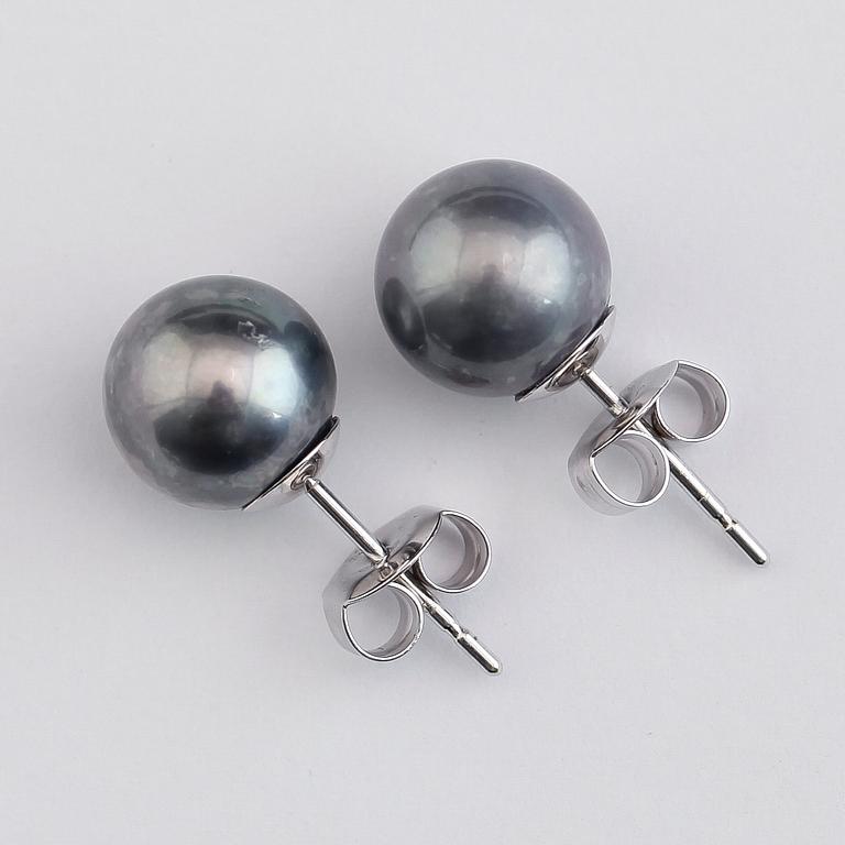 ÖRHÄNGEN, 1 par, 14K vitguld, odlade gråblå pärlor.