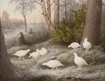 Ferdinand von Wright, Ptarmigans.