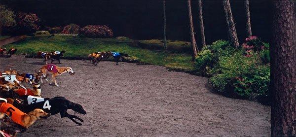 Lovisa Ringborg, "Hunting Ghosts", 2009.