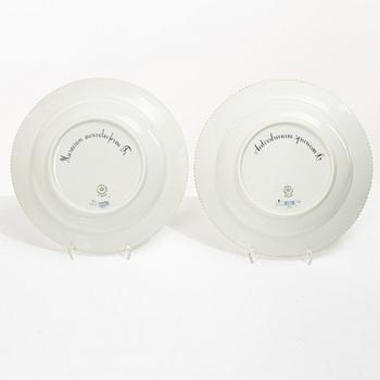 Royal Copenhagen, seven plates, 'Flora Danica', Denmark.