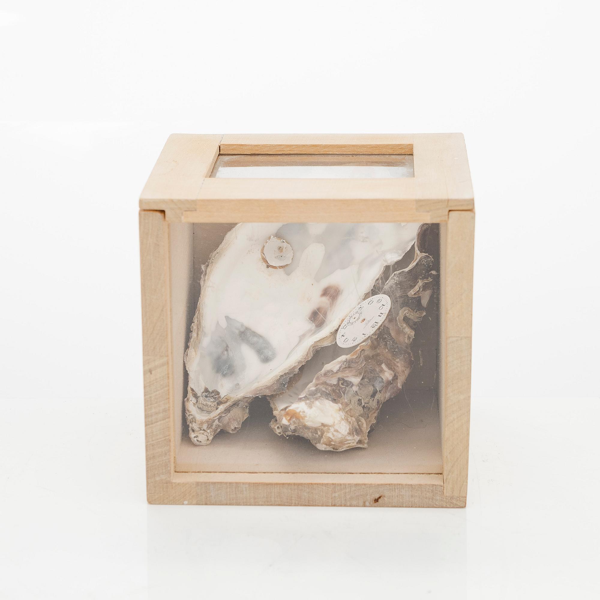 Juhani Harri, Tidsbox.