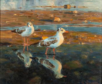 Thure Wallner, Unga Skrattmåsar.