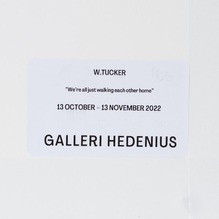 W Tucker, "A ship, she rides over the moon".