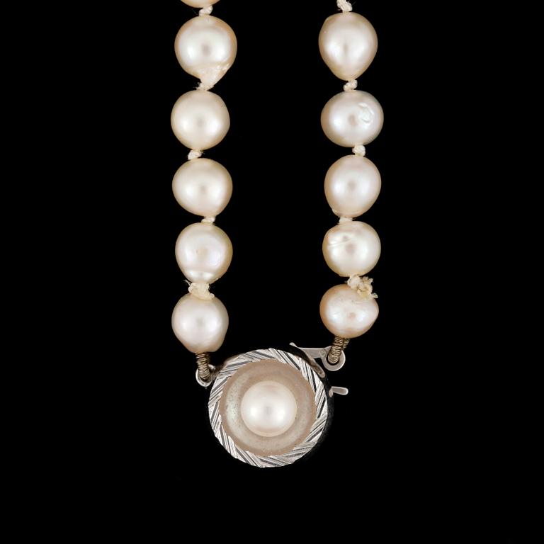 PÄRLCOLLIER, odlade pärlor, silverlås.
