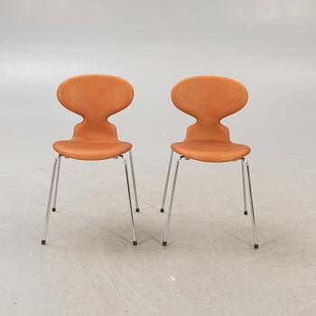 Arne Jacobsen, stolar, 6 st, "Myran", Fritz Hansen, Danmark.