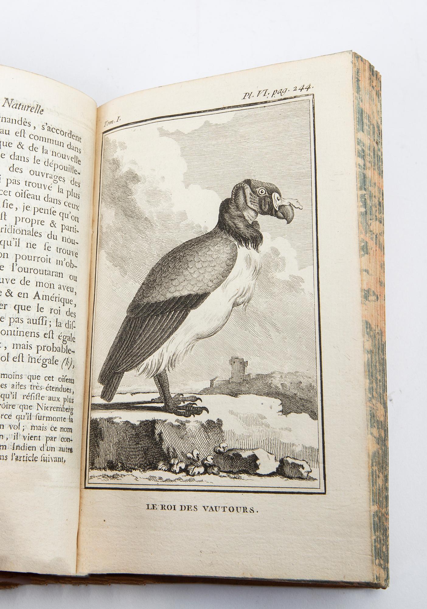 Georges-Louis Leclerc, Comte de Buffon, 'Histoire naturelle des oiseaux' 18 vol Paris 1770 - 1785.