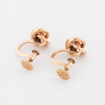 A pair of earrings.