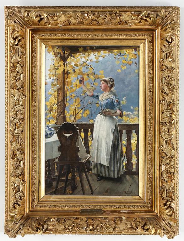 Henrik Nordenberg, Harvesting the grapes.