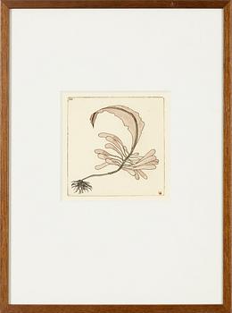 Sten Eklund,  "Alg." From "Kullahusets hemlighet".