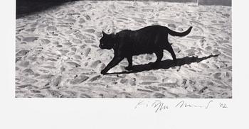 Kristoffer Albrecht, motif from France, 2002.