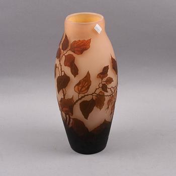 VAS, glas, jugend, Arsale, tidigt 1900-tal.