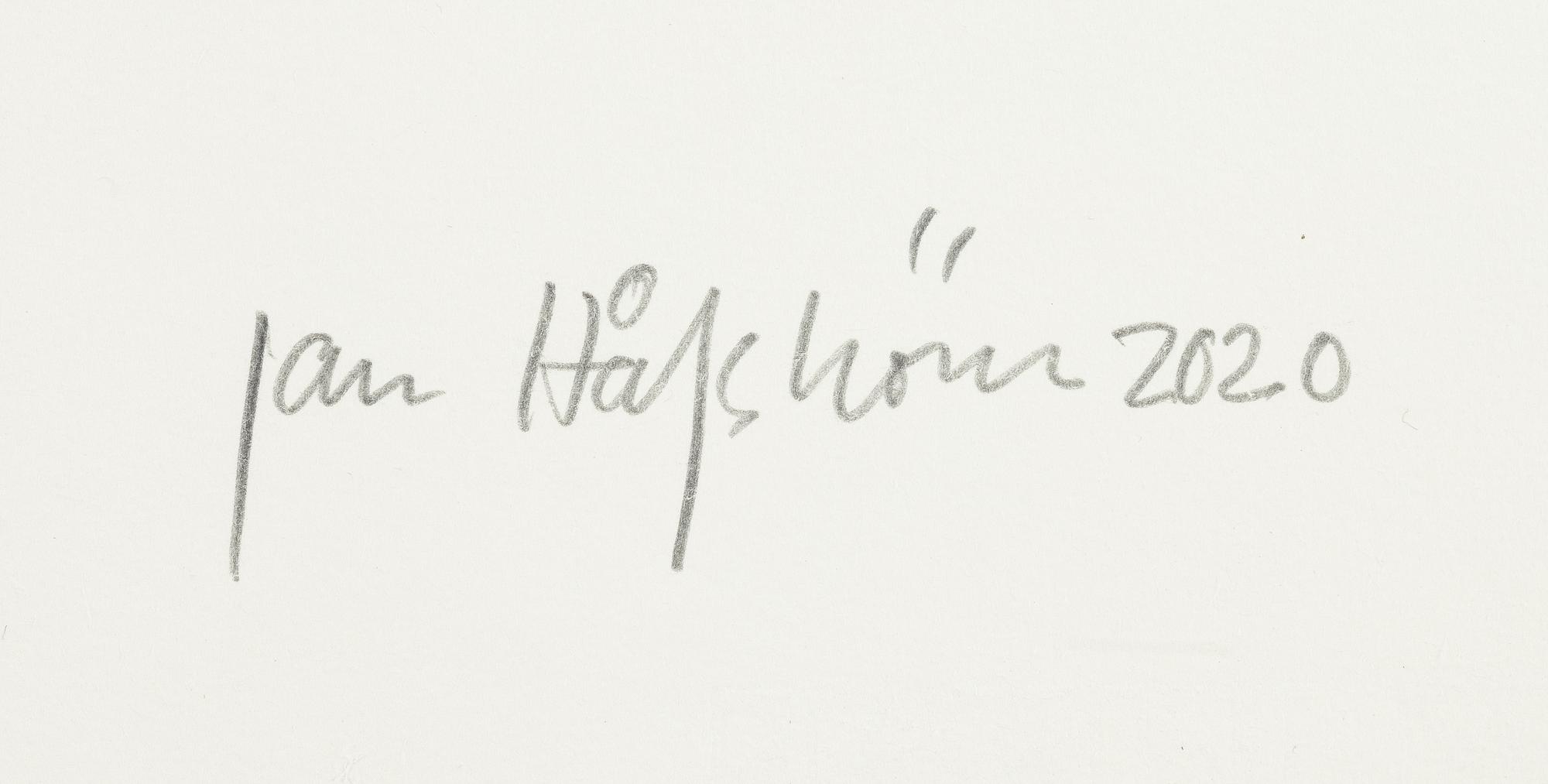 Jan Håfström, "Utan titel (2213)".