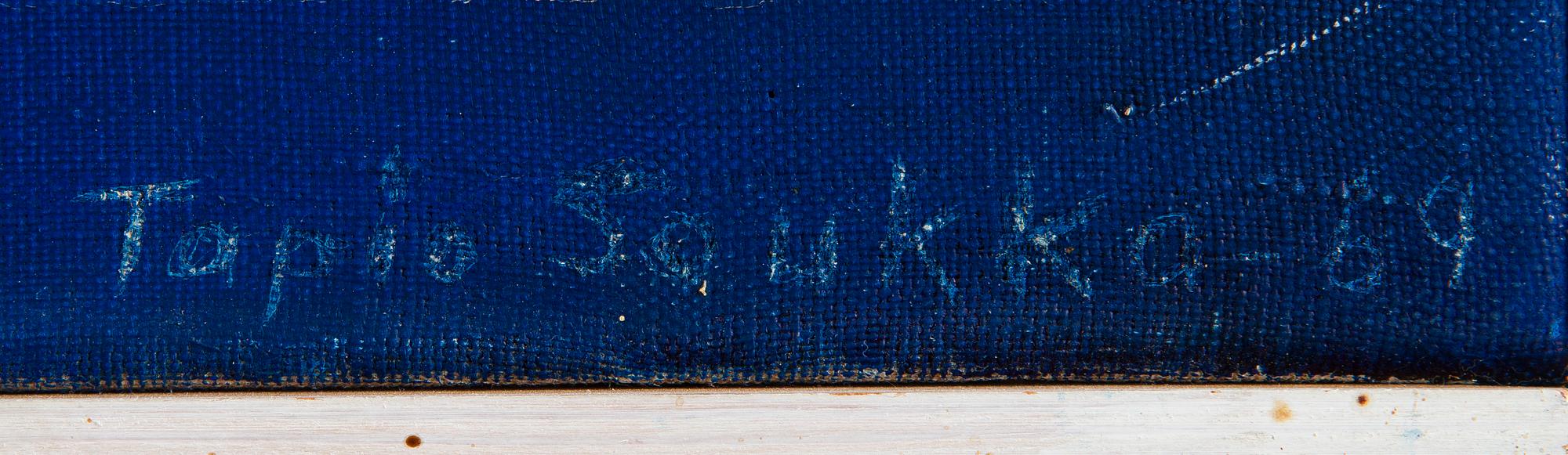 Tapio Soukka, Sinileisku.