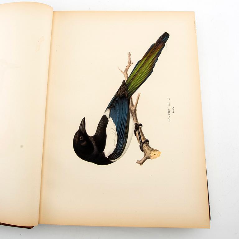 The von Wright Brothers, book work, 3 vols "Swedish Birds", A. Börtzells Printing Co. Ltd., Stockholm, 1927-1929.