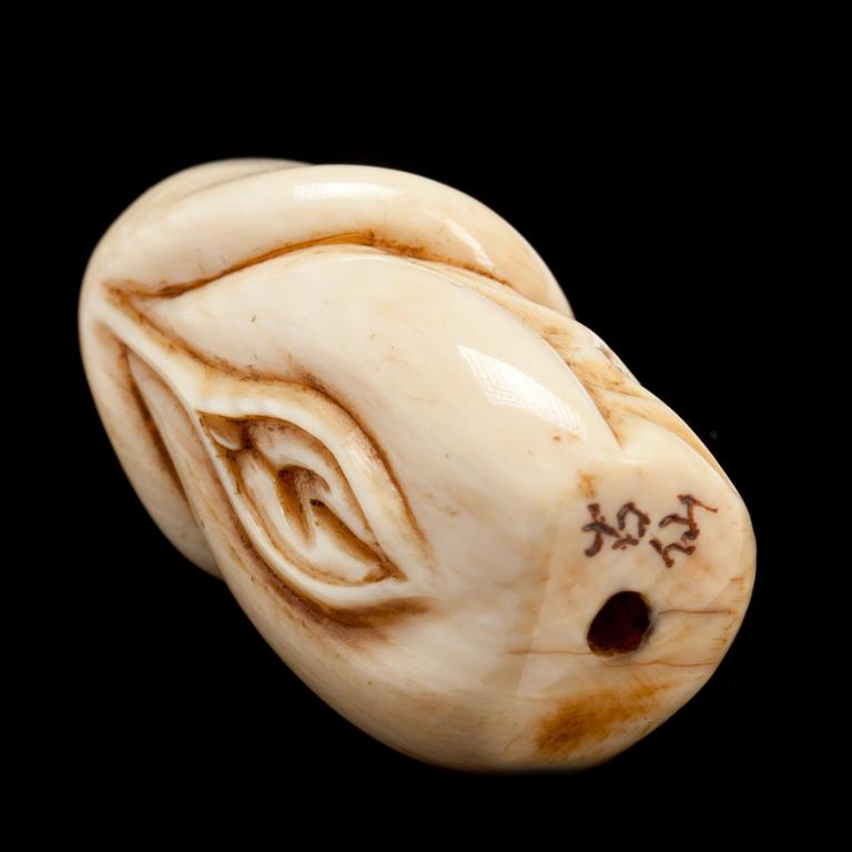 EROTISK NETSUKE, ben.  Kina, omkring 1900.