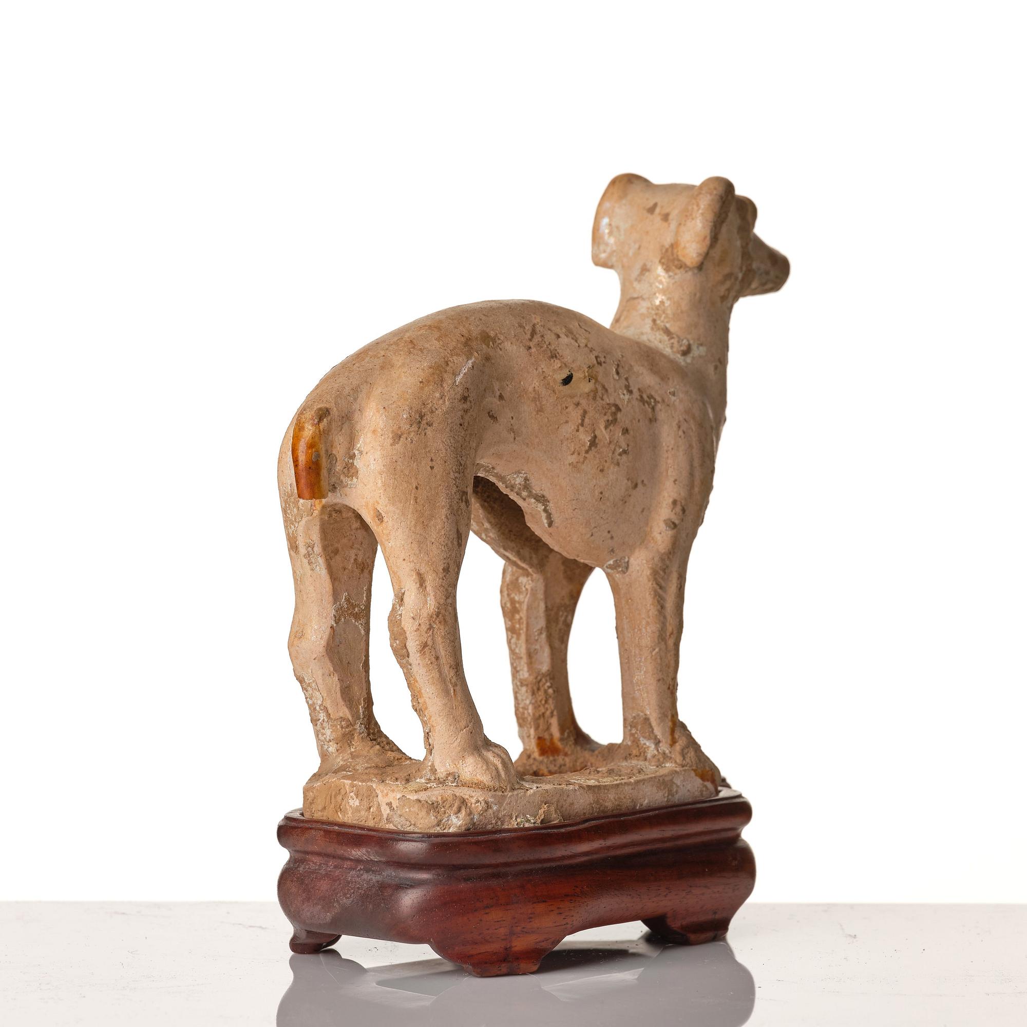 A pottery figure of a dog, Tang dynasty (618-907).