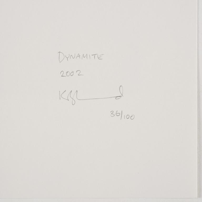 Zoe Leonard, "Dynamite", 2002.