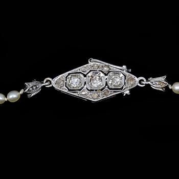 A natural pearl necklace, 5,2-2,2 mm.