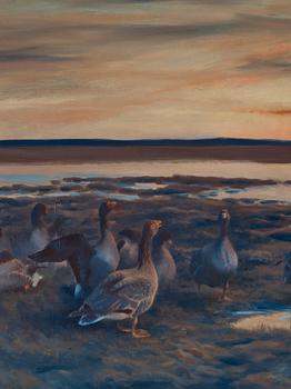 Bruno Liljefors, Flying geese.