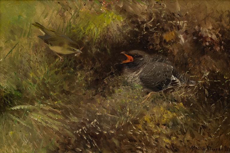 Mosse Stoopendaal, Passerines in shrubbery.