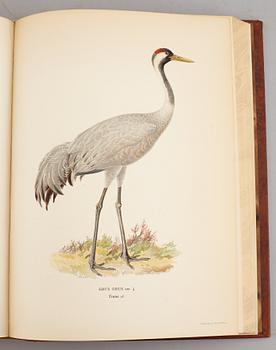 A set of three books about Swedish birds by von Wright. 1927.