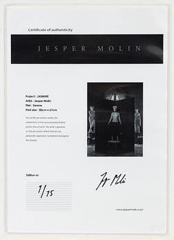 Jesper Molin, "Serene".