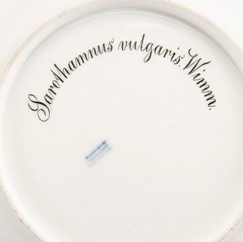 Tallrikar, 2 st, "Flora Danica", Royal Copenhagen Danmark sent 1800-tal.