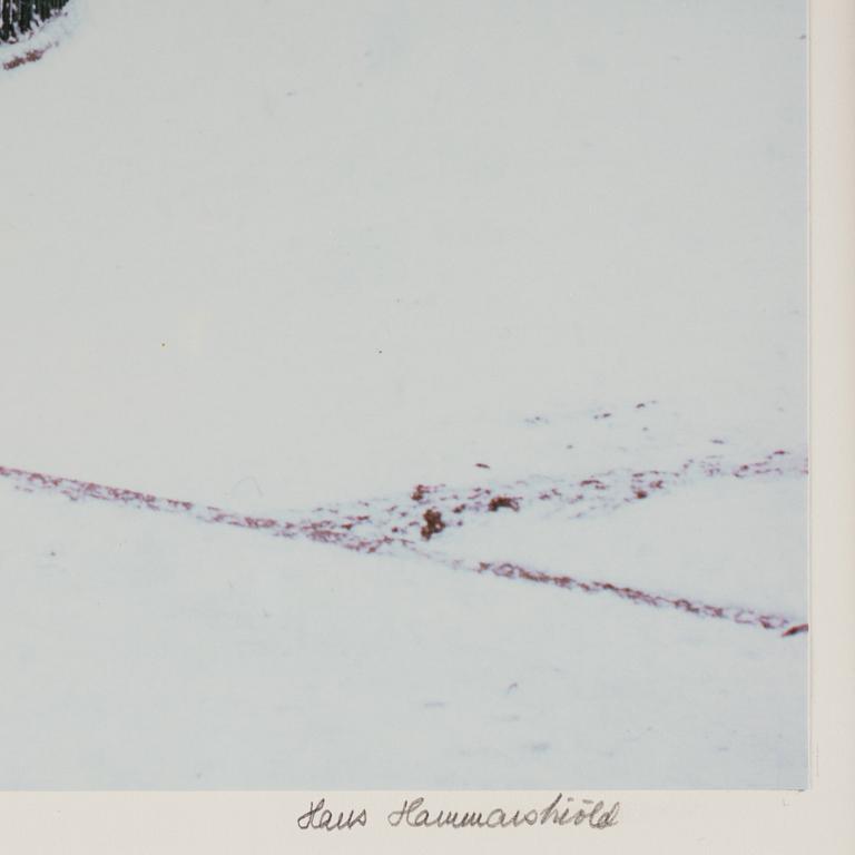 Hans Hammarskiöld, "Bastugatan, Stockholm, 1980".