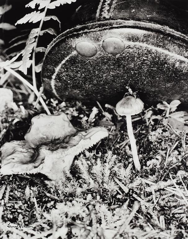 Lennart Nilsson, fotografi signerad.