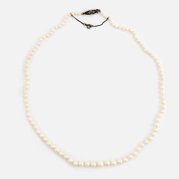 Cultured pearl necklace, clasp silver.