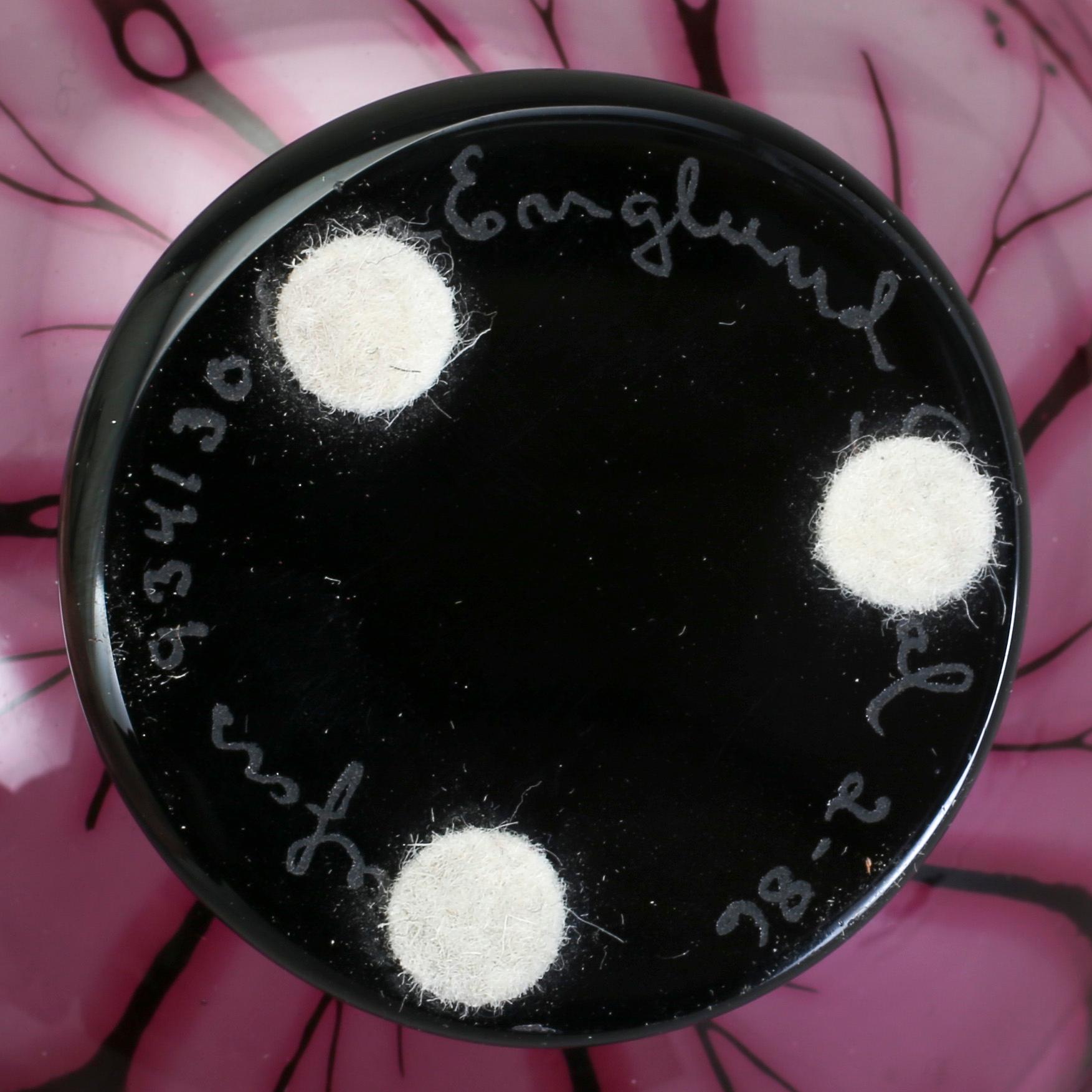 SKÅL, glas, graal, Eva Englund, Orrefors, signerad.