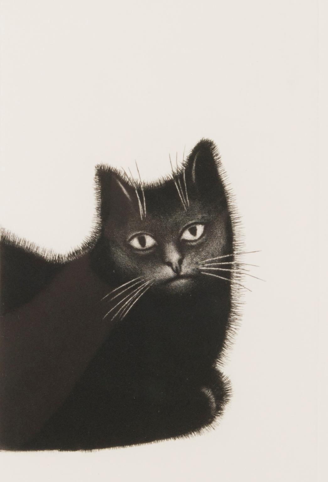 FRANS TOIKKANEN,  mezzotinta, signeerattu ja päivätty -86, numeroitu T.p.l'a. 41/100.