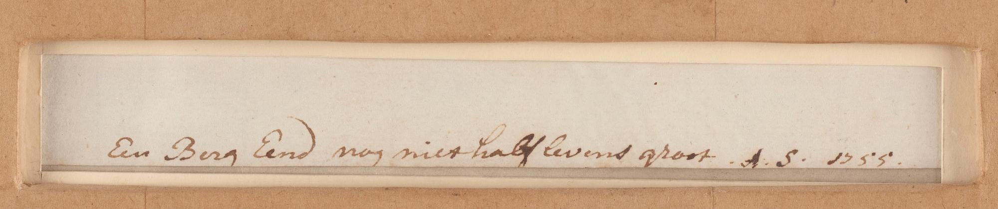 Aert Schouman, "Een Berg Eend nog mitt half levens groot".