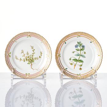 Kaffekoppar, med fat, tre stycken samt fem assietter, porslin. Royal Copenhagen, 'Flora Danica', Danmark, 1900-tal.