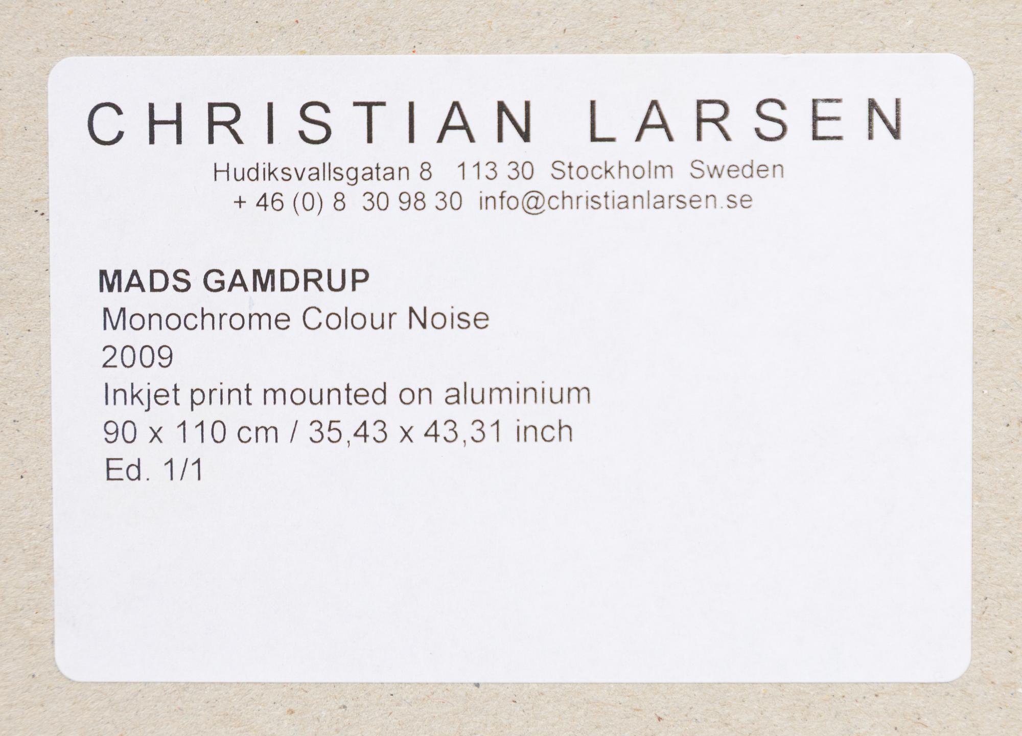 Mads Gamdrup, "Monochrome Colour Noise".